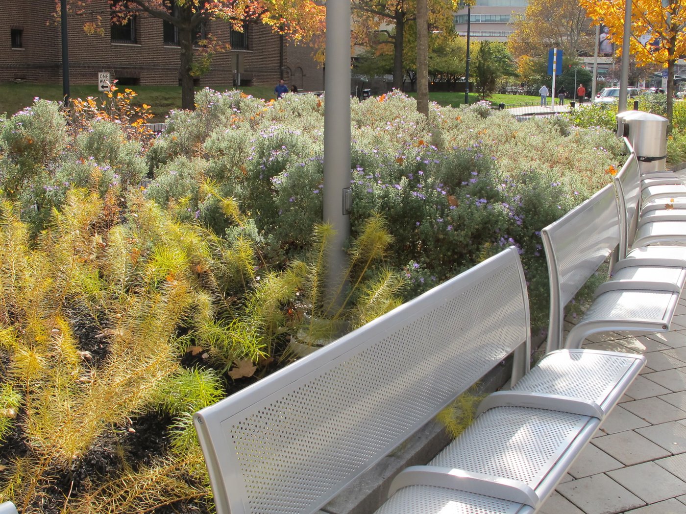 University of Pennsylvania Edward W. Kane Park -8