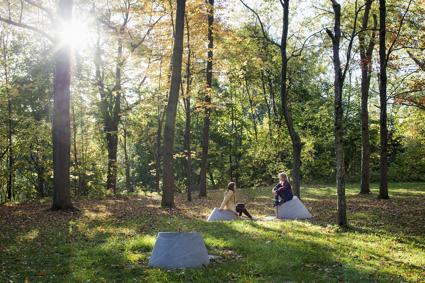 蒙特利尔 Mount Royal 遗址景观改造-26