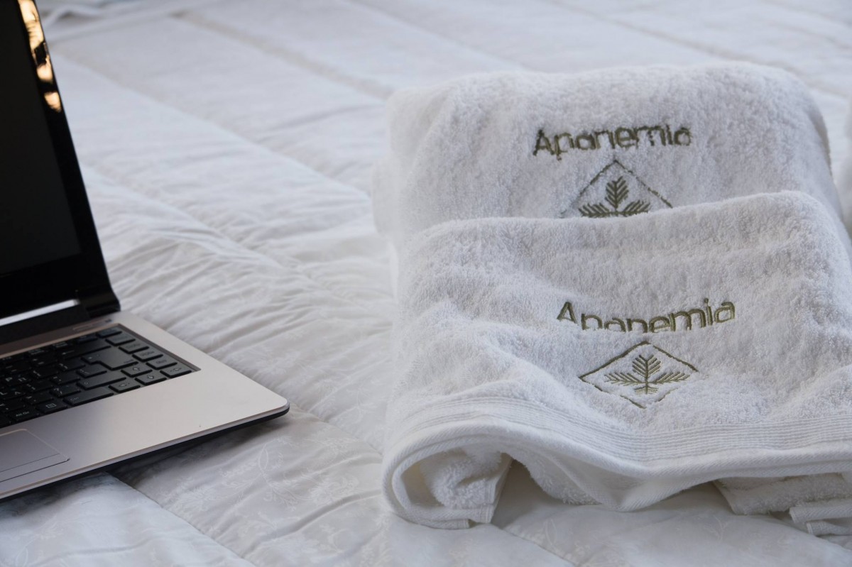 Apanemia 豪华别墅标志设计丨希腊-2