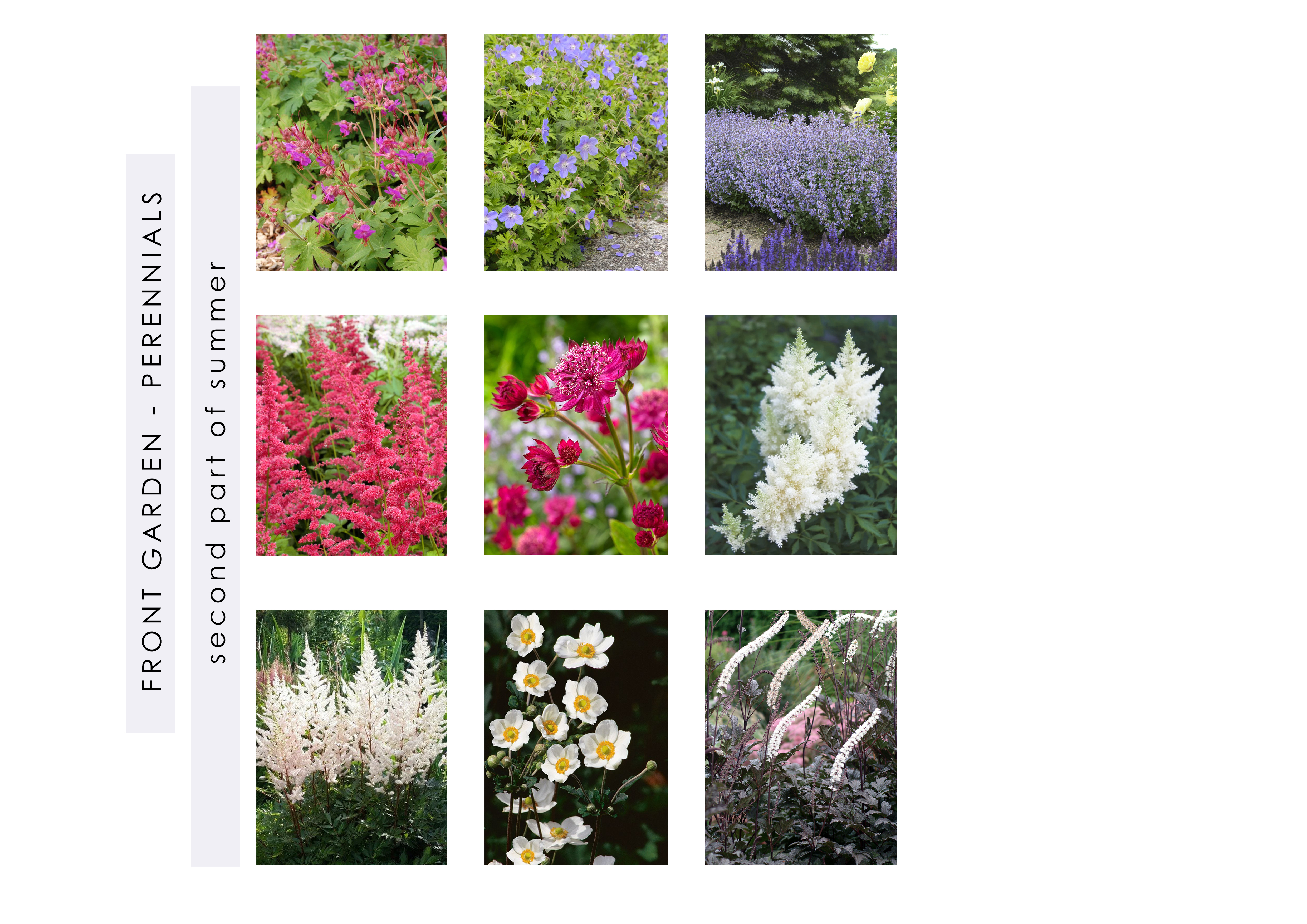 Private garden, 2023-11