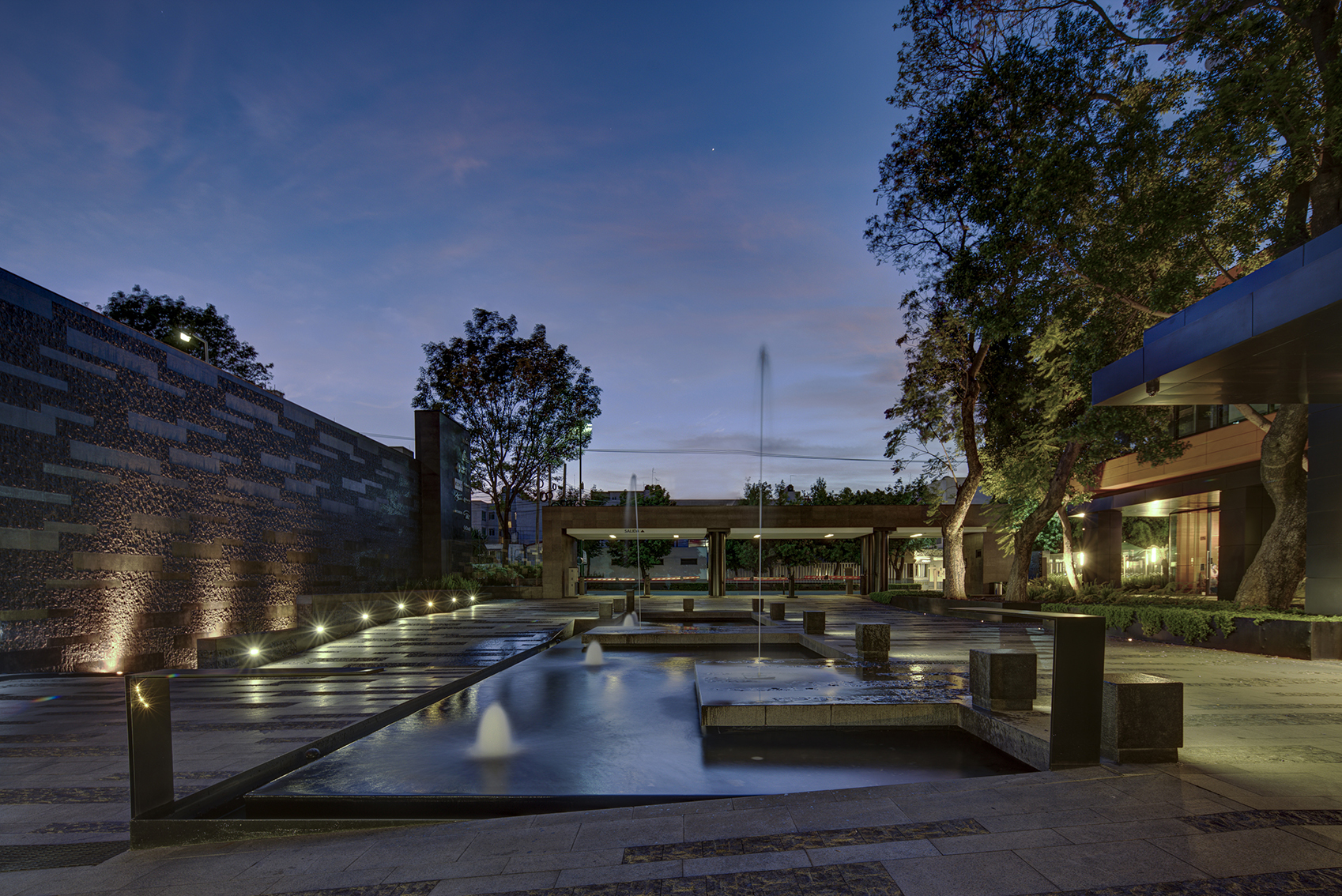 Coyoacán公司校园-0