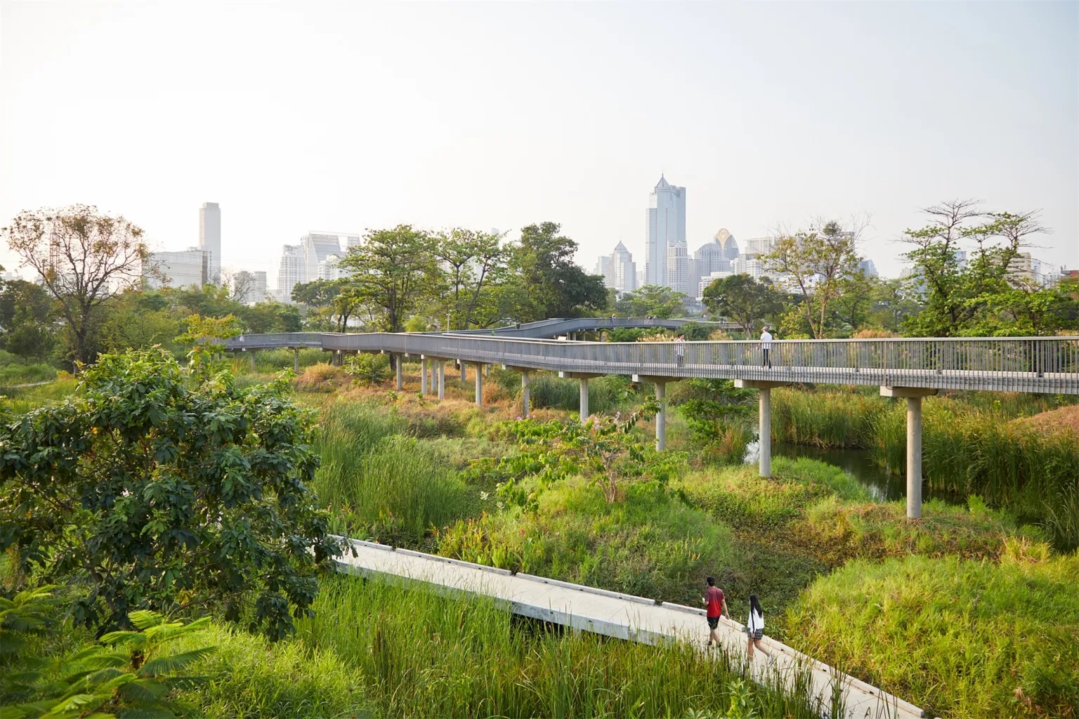 曼谷班加科特森林公园丨泰国曼谷丨土人景观-5