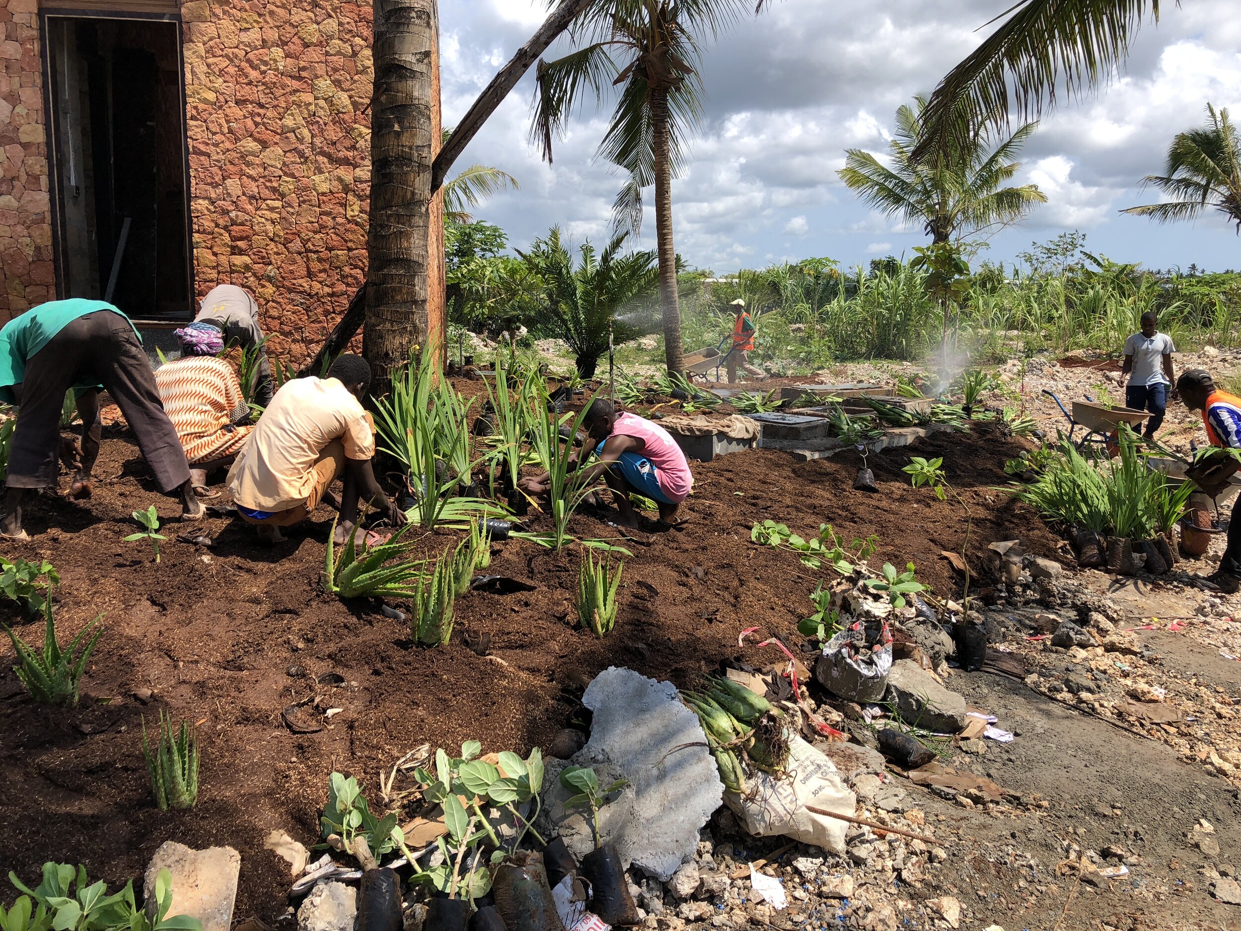 Kizikula酒店景观项目丨坦桑尼亚桑给巴尔丨Andy Hamilton,Case Design等-7