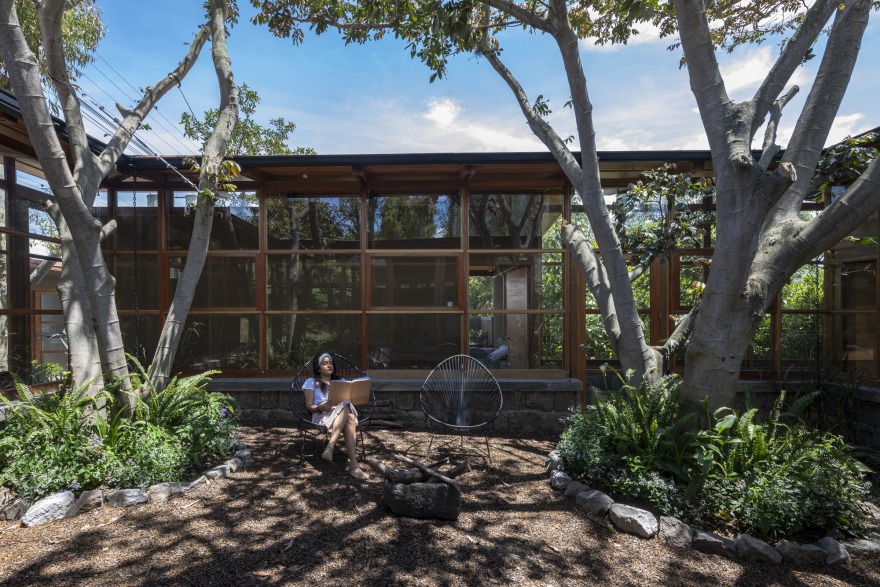 House Among Trees / El Sindicato Arquitectura-36