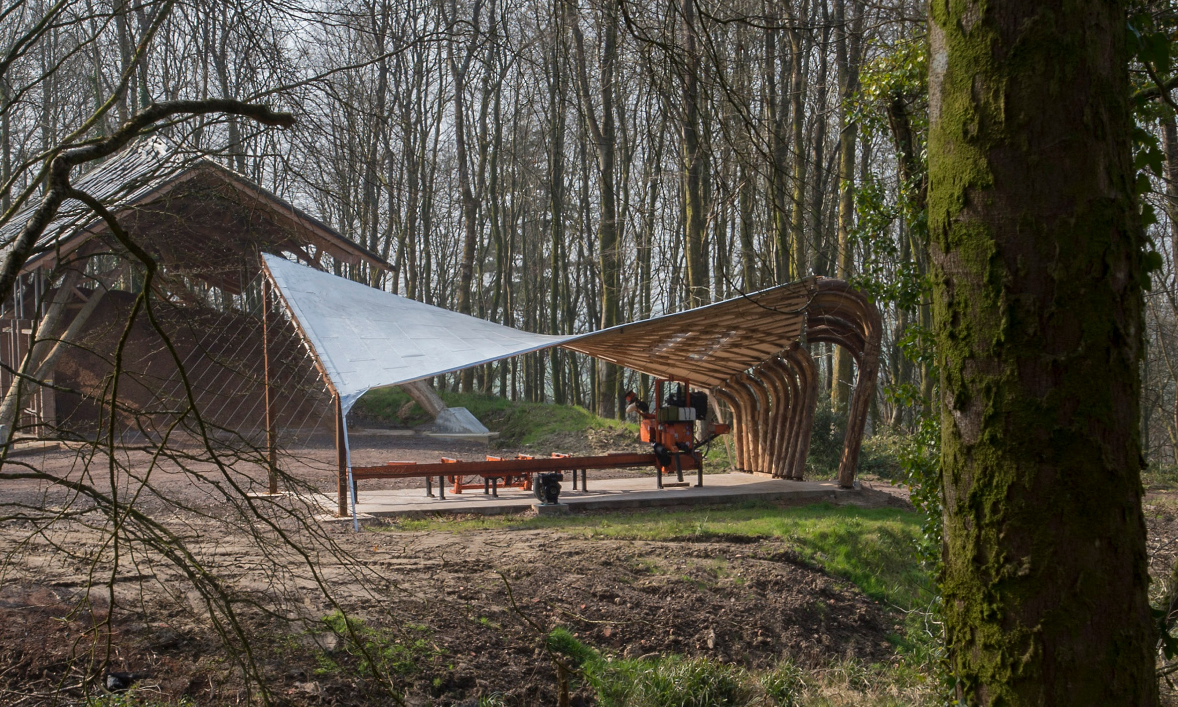 AA Design - Make students test the limits of timber in tensile woodland canopy-5