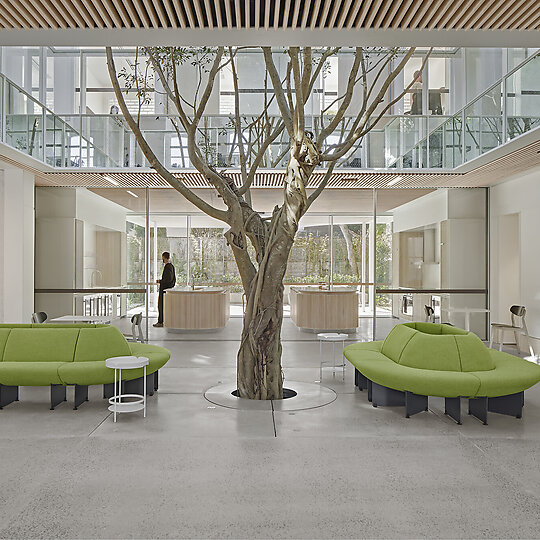 Campbell House by Tonkin Zulaikha Greer | Australian Interior Design Awards-2