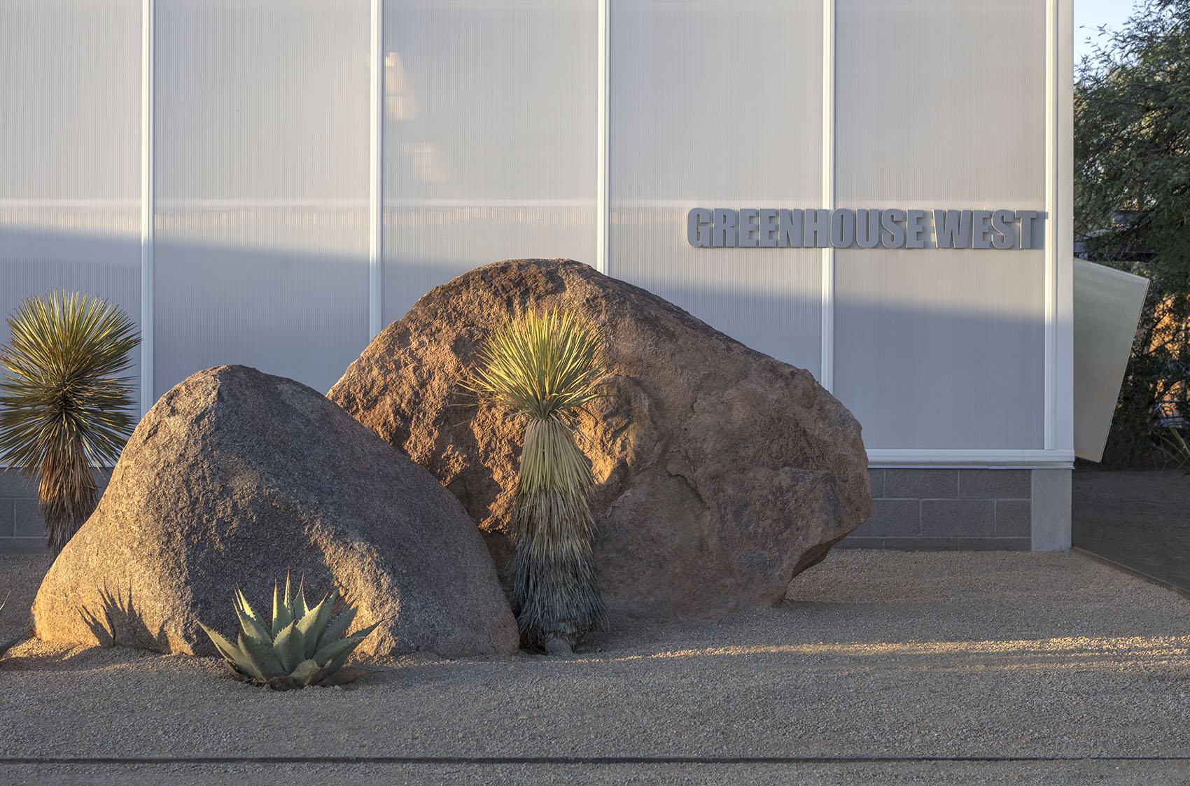 沙漠植物园一期丨美国-82