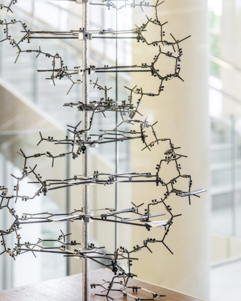 Ray Dolby Centre, Cavendish Laboratory, University of Cambridge | Jestico + Whiles-18