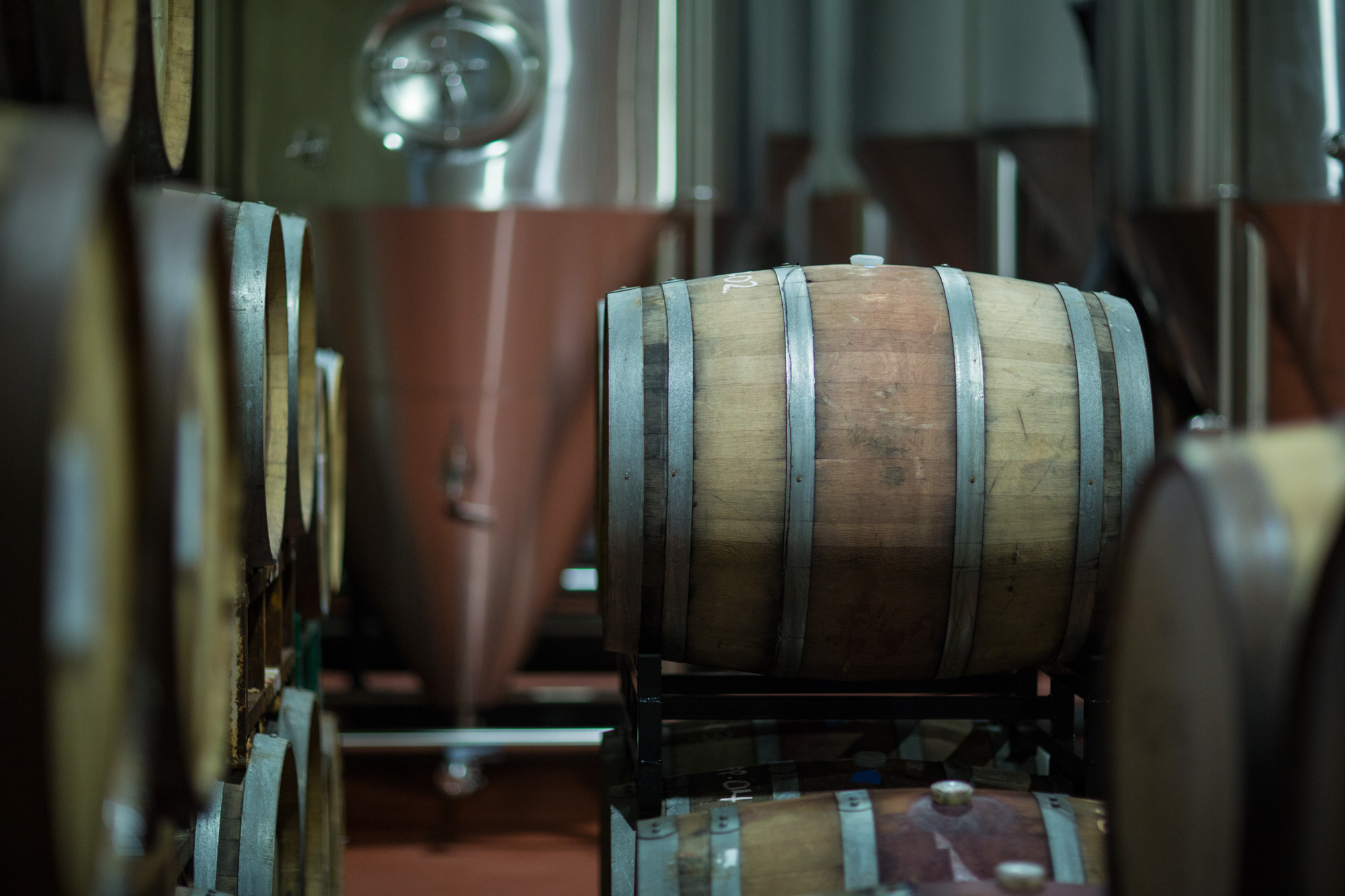 Ziger|Snead 打造 Union Craft Brewing 酒厂新家-9