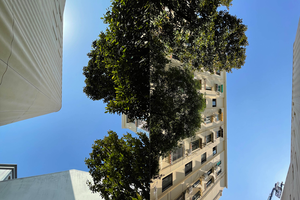 宛平剧院改扩建工程丨中国上海丨同济大学建筑设计研究院(集团)有限公司-83