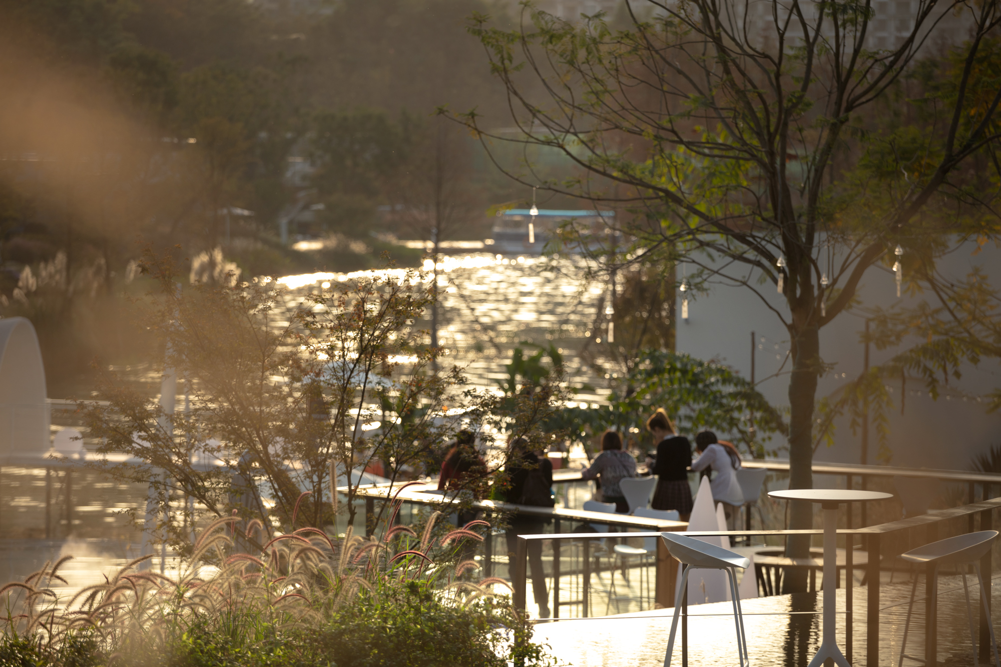 麓湖天府美食岛一期丨中国成都丨昱道景观&创合园林-48