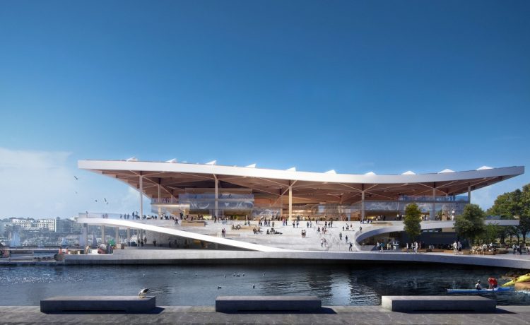 悉尼新鱼市场丨澳大利亚悉尼-5