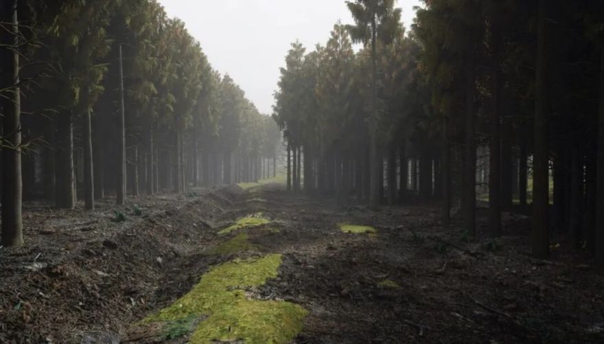 QS蝉联11年全球榜首:皇艺RCA2025建筑毕设展|全球毕设-114