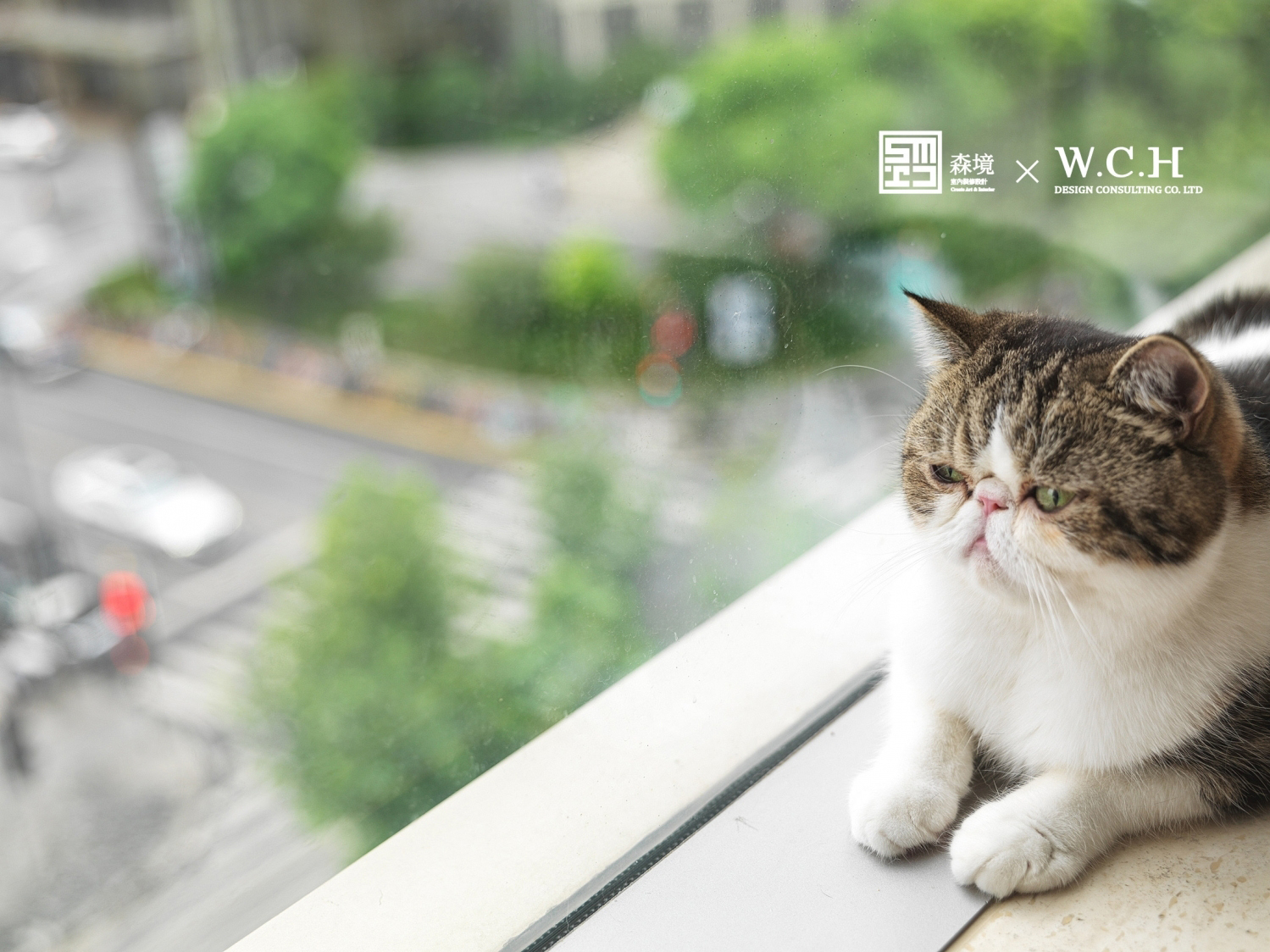 森境&王俊宏设计--銜蟬隱居-19