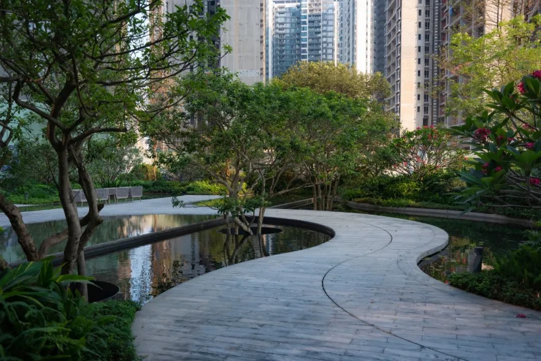 仁恒深圳公园世纪三期丨中国深圳丨TROP景观事务所-65