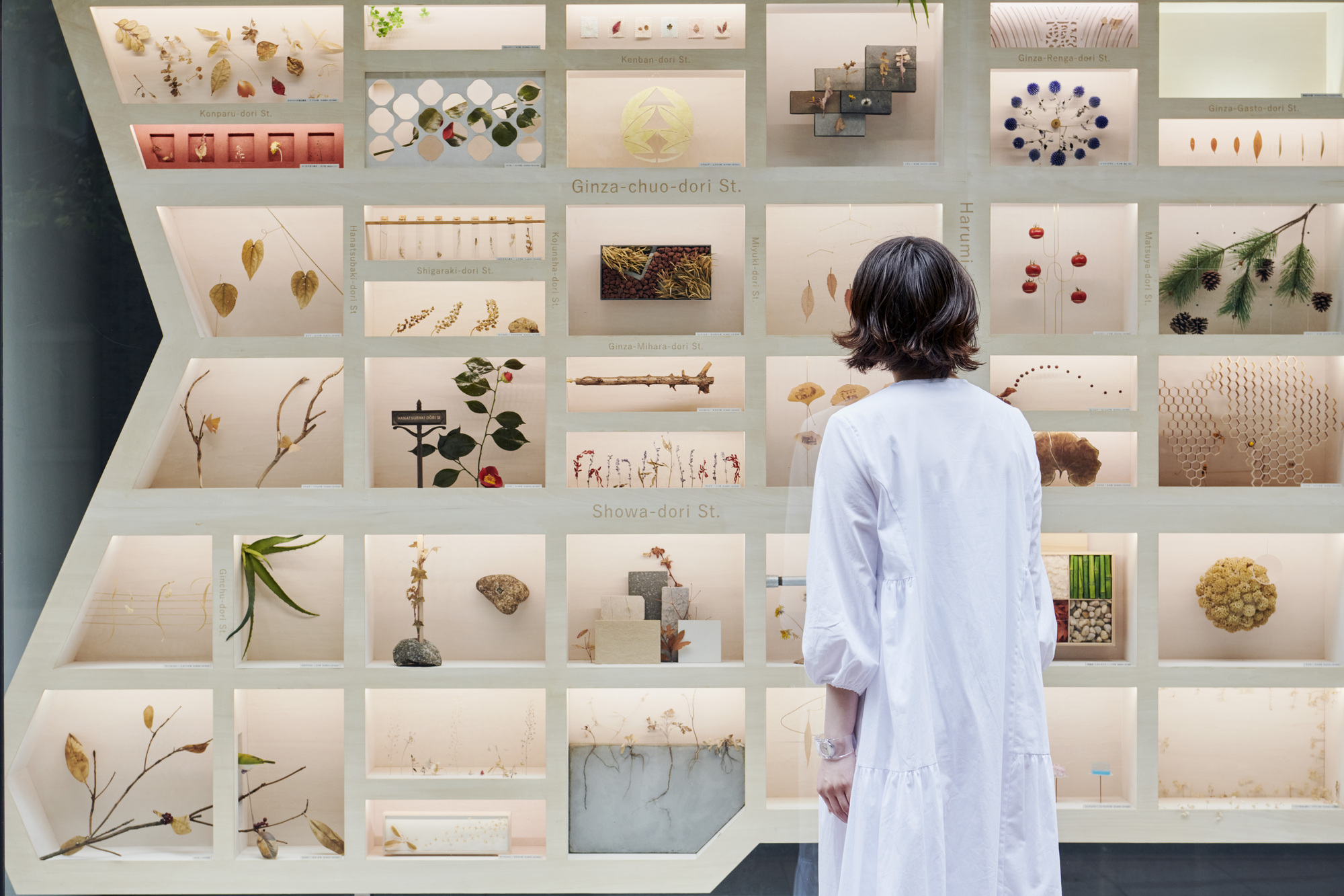 银座生态地图丨JapanTokyo丨Hakuten Corporation-15