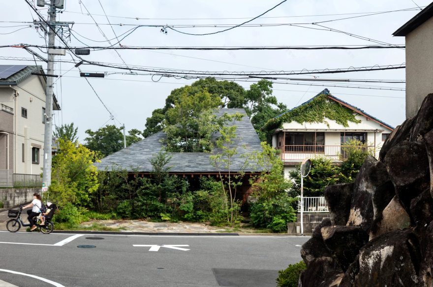 石头缝里的生机 · 大地之家的绿色创新设计-0