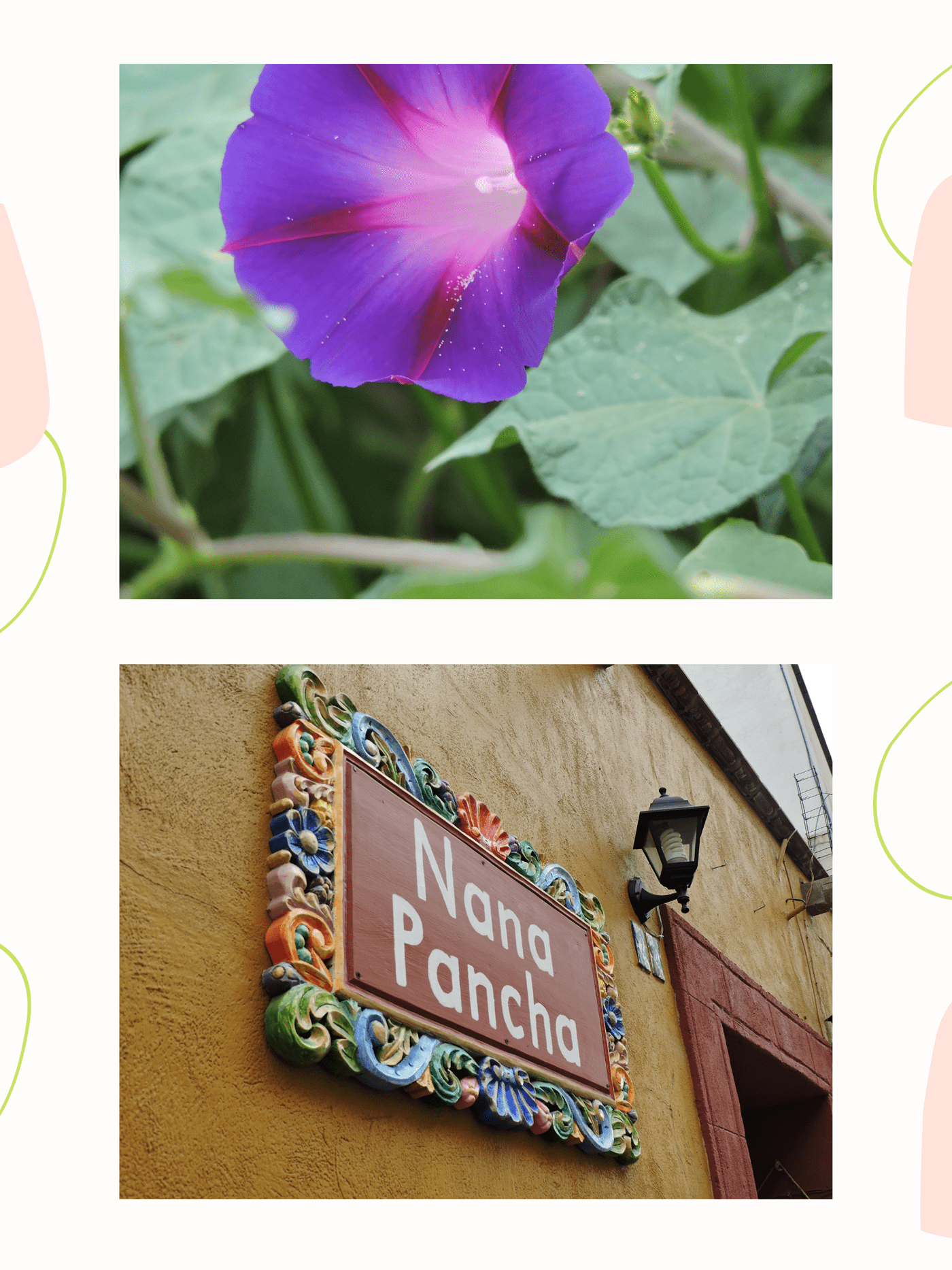 Portafolio | Fotografía-8