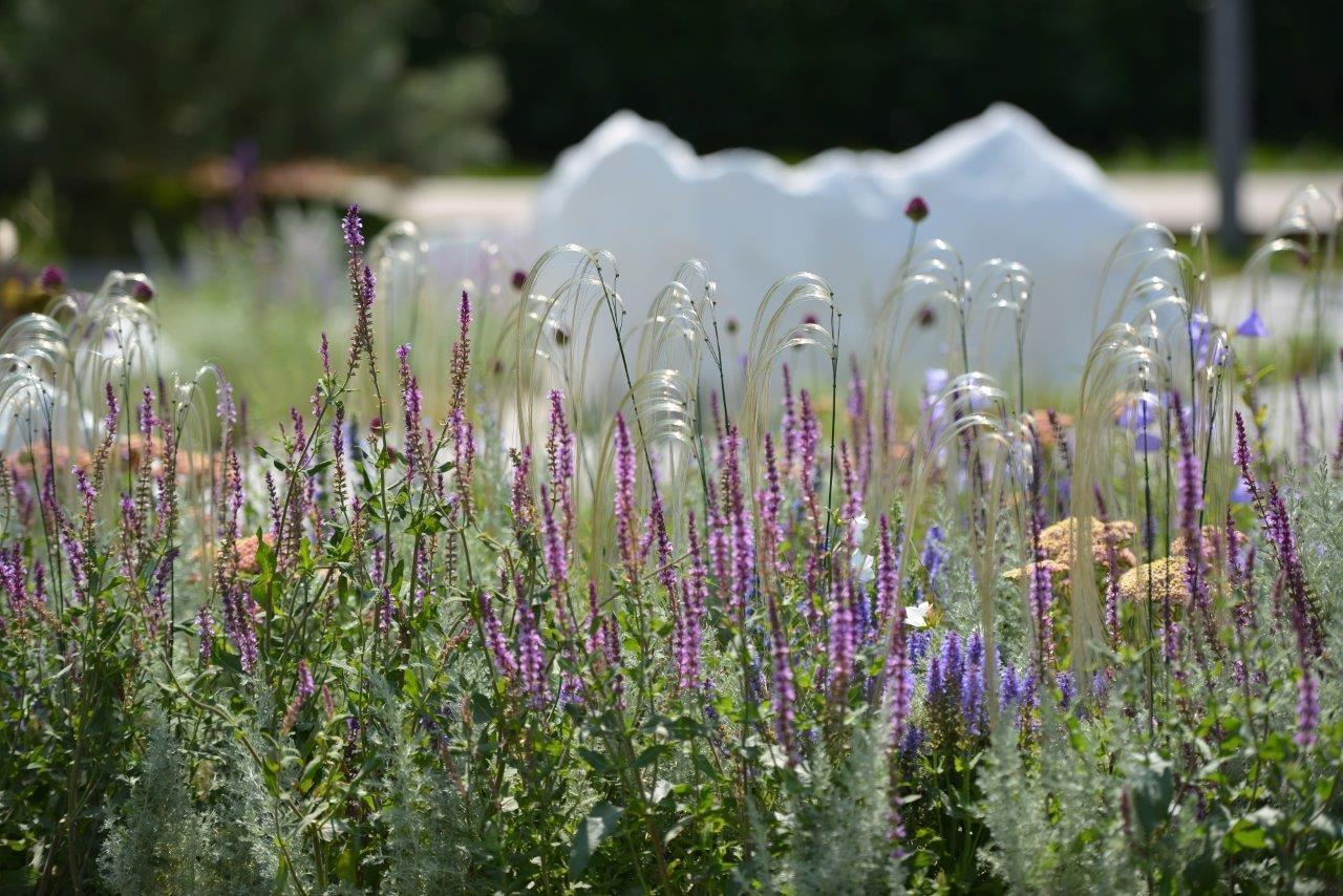 Сад трав: проект для выставки Moscow Flower Show-8