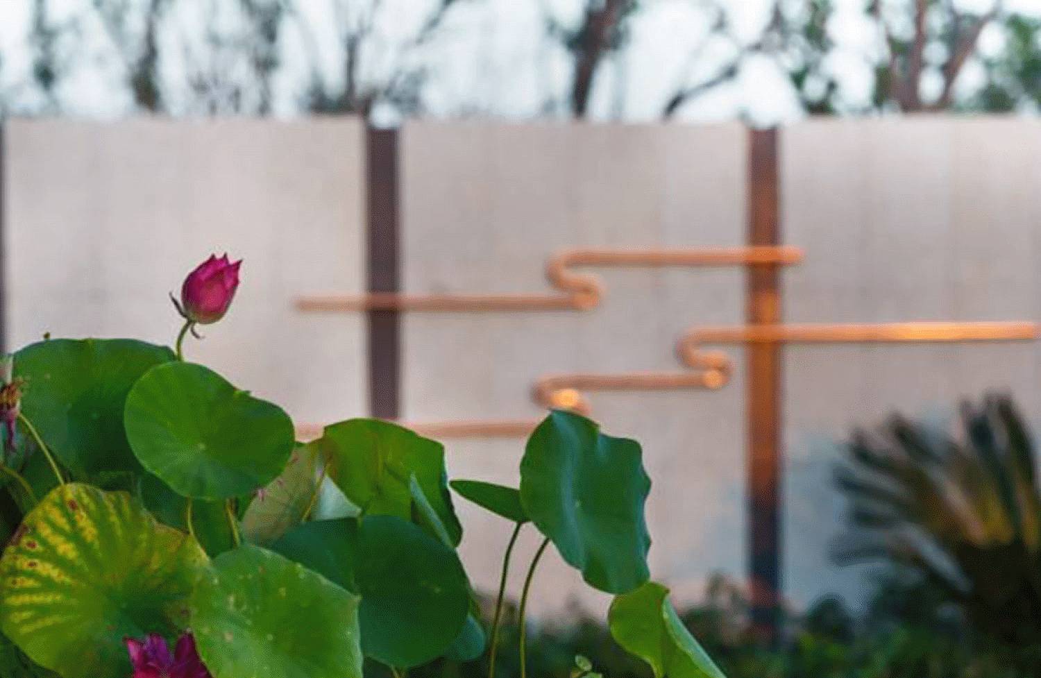 万科安品园舍别墅-84