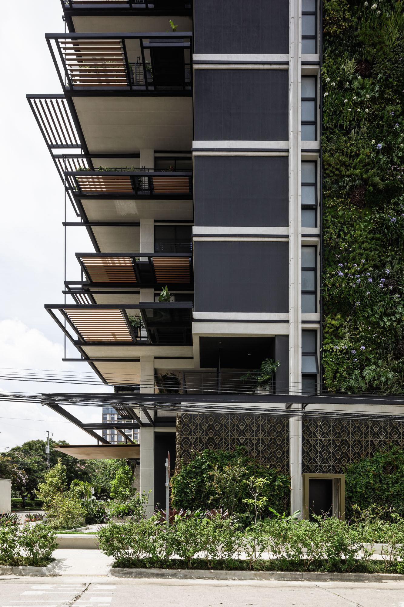 栀子丨哥斯达黎加圣何塞丨Studio Saxe-39