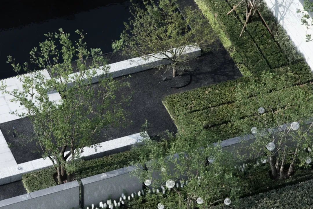 南京龙池映 | 方寸之间,容纳万物之情-95