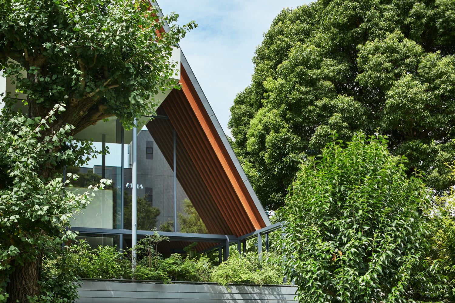 House of Glittering Leaves-0