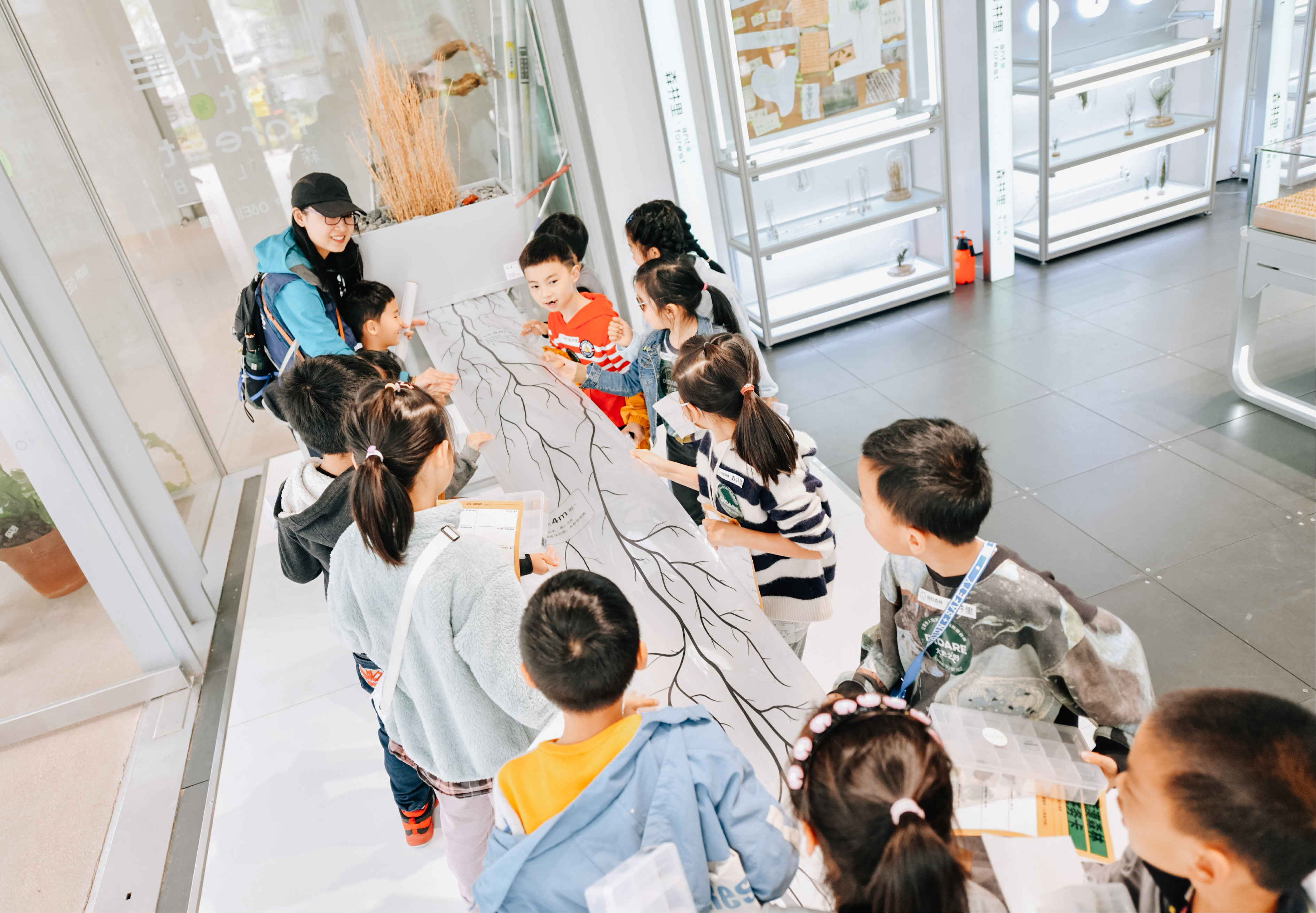 杭州天目里绿色嘉年华「森林里」丨中国杭州丨蚂蚁森林,杭州天目里,不是美术馆-32