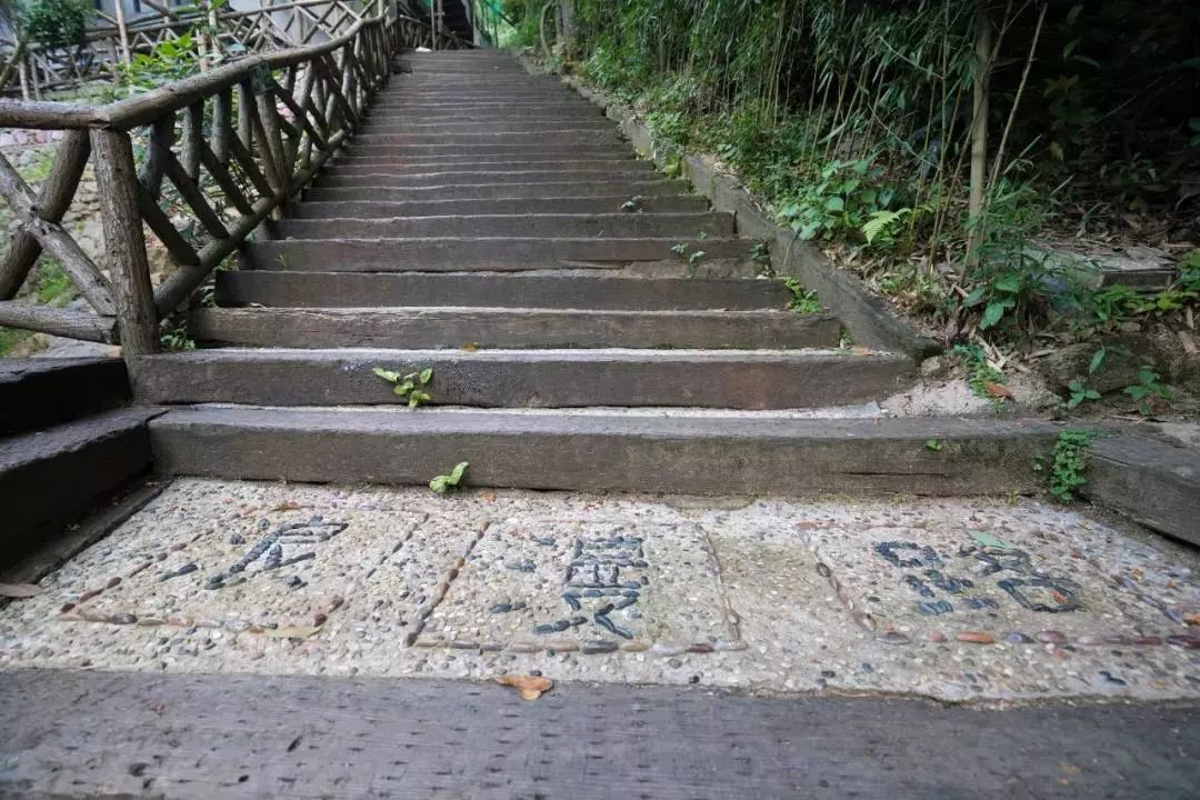 野宿丨逃离城市的世外桃源-51