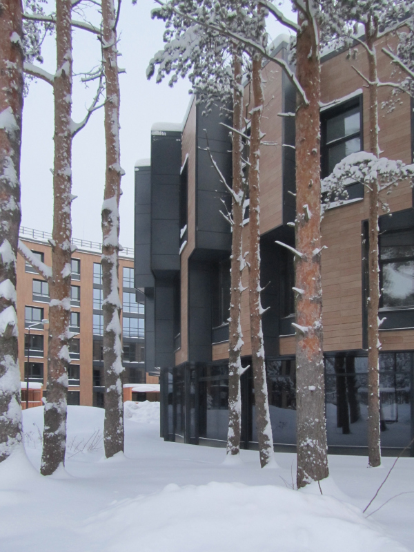 公园健康中心“光明世界 内在”丨俄罗斯圣彼得堡丨建筑事务所“А.Лен”,建筑工作室“АММ  проект”-42