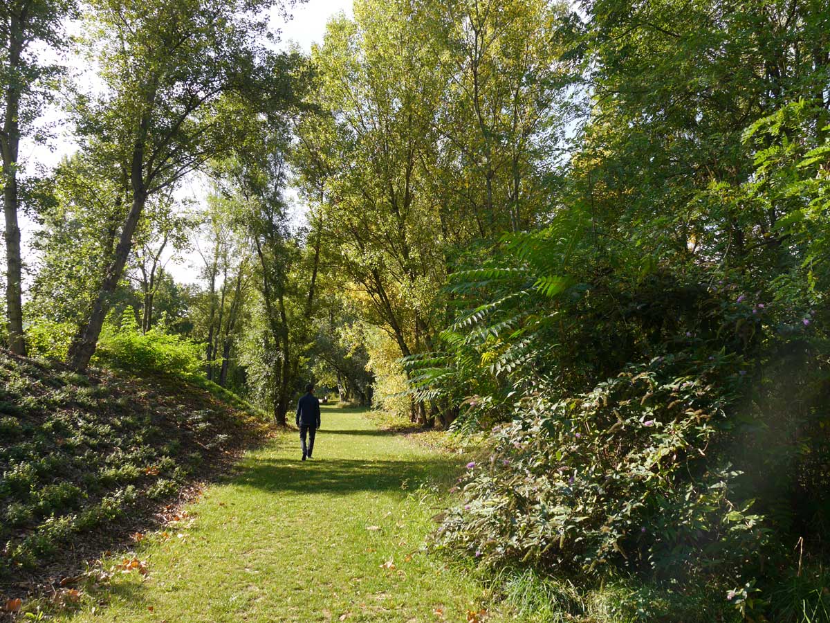 法国罗什泰里耶河畔重塑景观-17