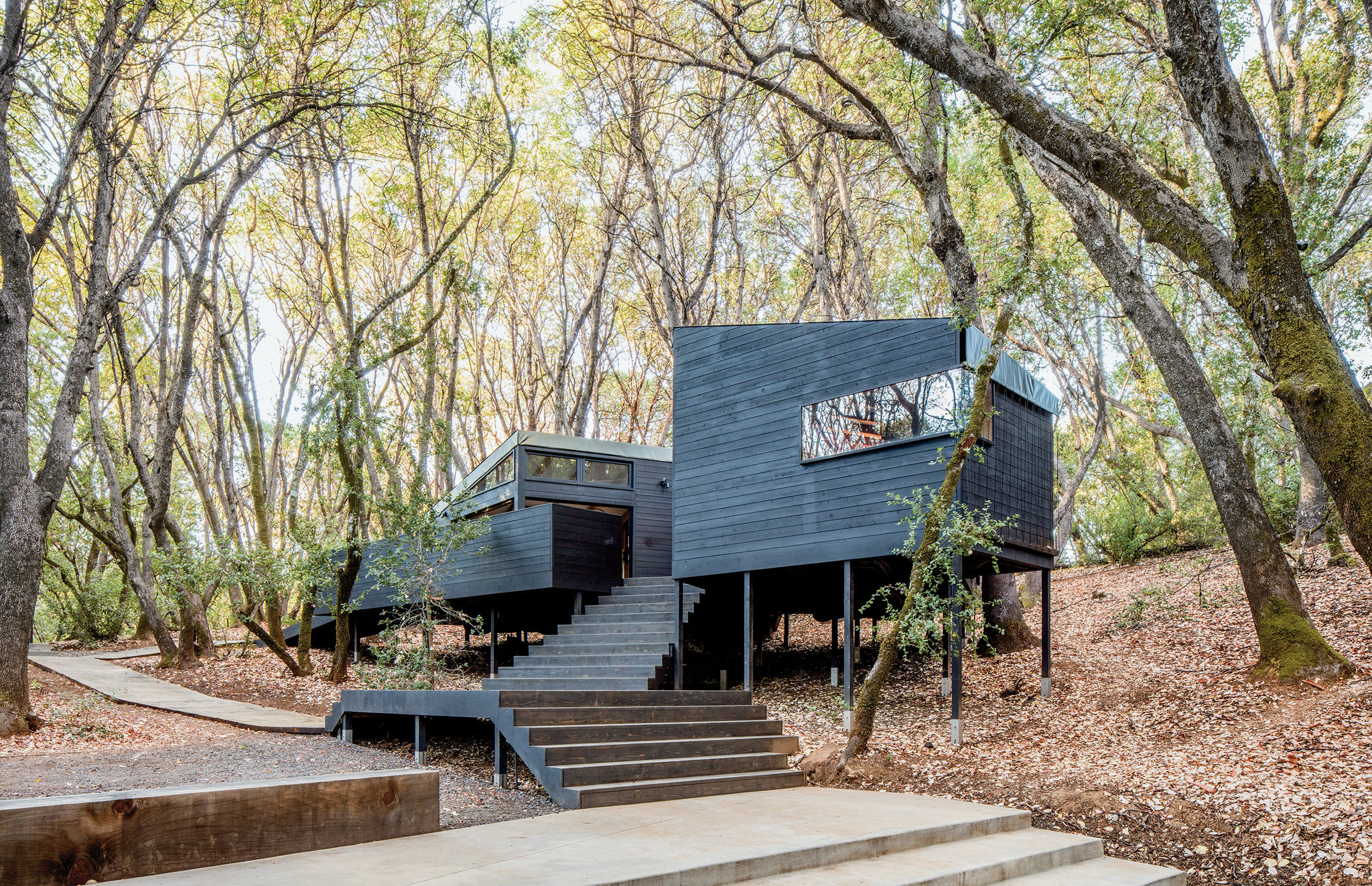 集合木屋「Forest House」丨美国加利福尼亚丨Envelope A+D建筑事务所及代表者道格拉斯·伯纳姆-3