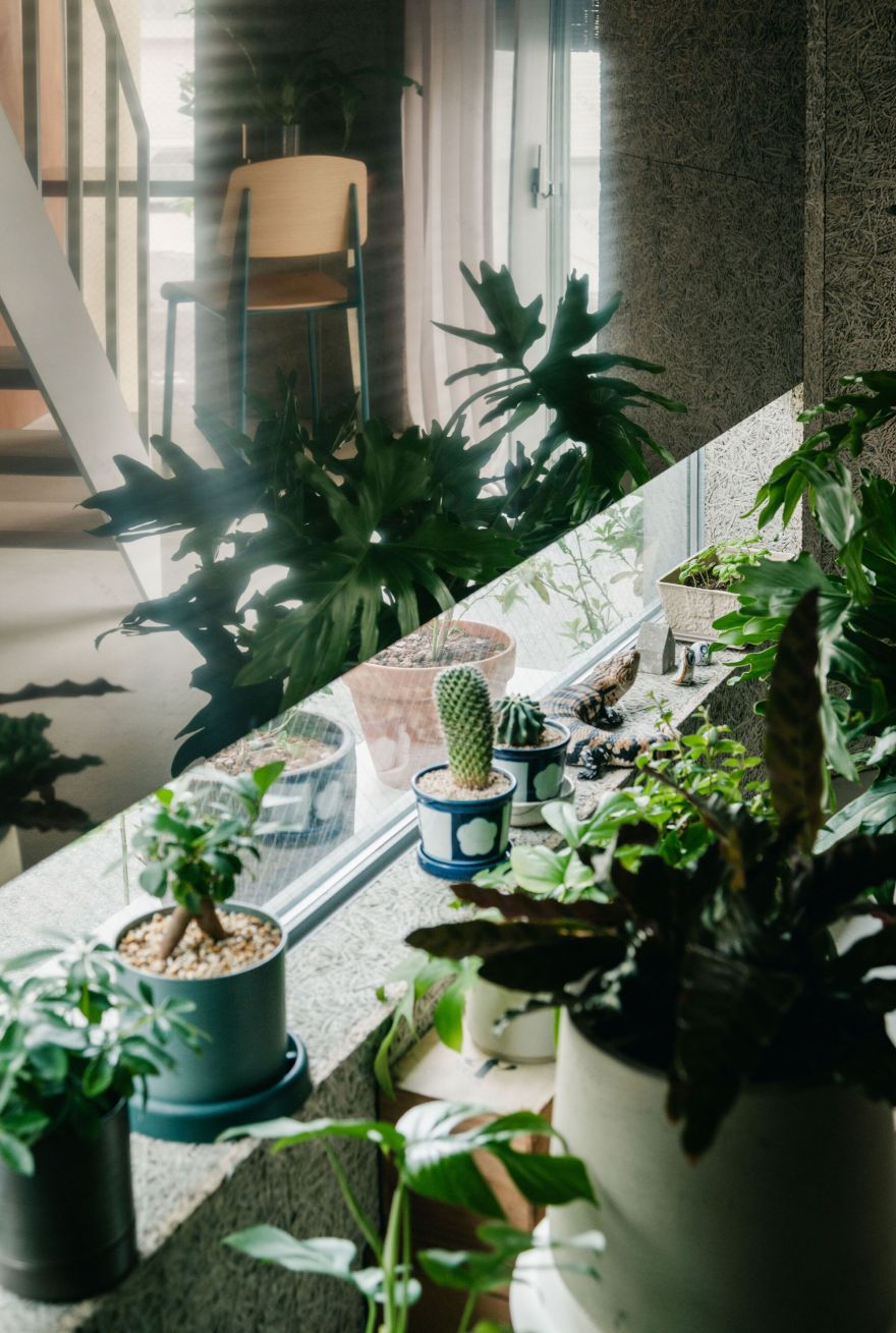 乔诺雅之家丨日本大阪丨Masakazu Tsujibayashi Architects-43