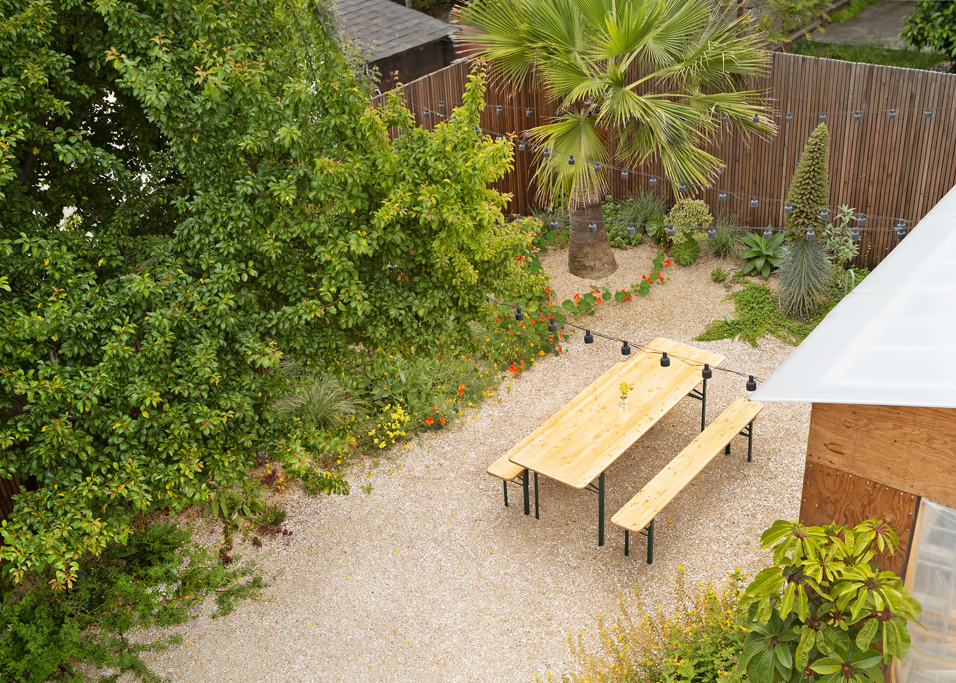 身边风景 | Soft Studio-12