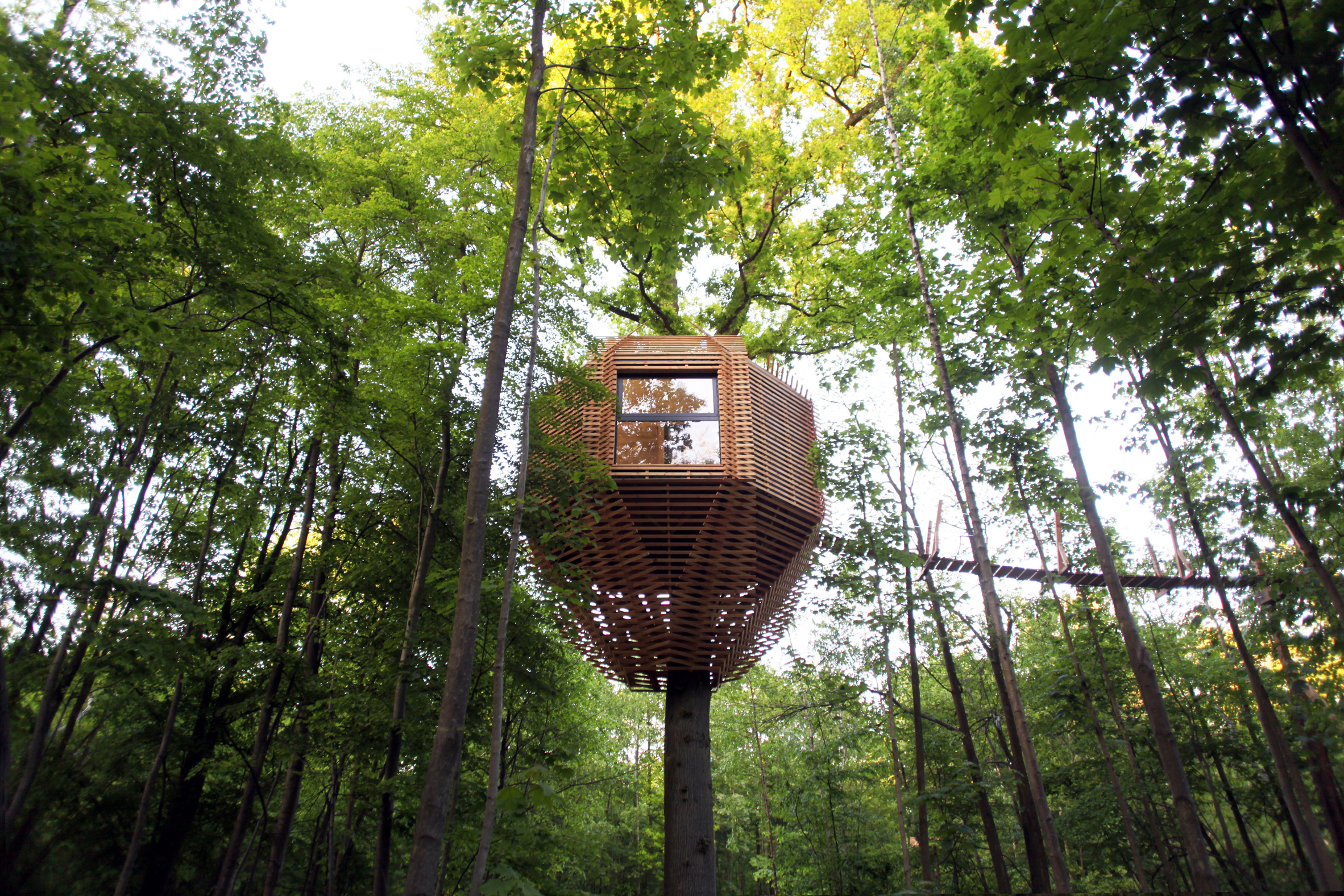 Century-old oak supports treehouse guest room in northern France-2