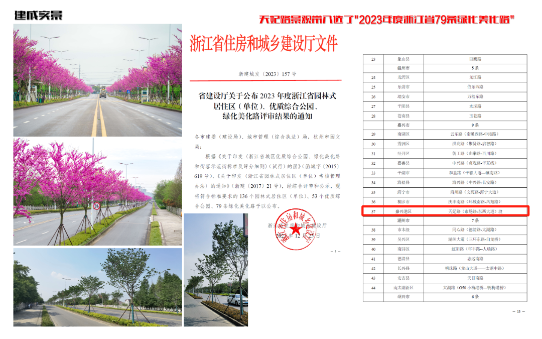 2024年度院优项目|嘉兴港区中央活力区道路景观设计实践——滨海盐碱地生态修复与城市美学融合的典范之作-5