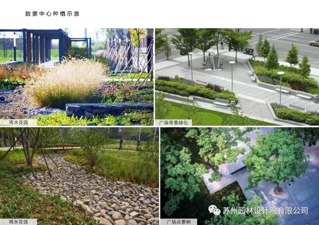 相城水厂景观设计与提升项目-70