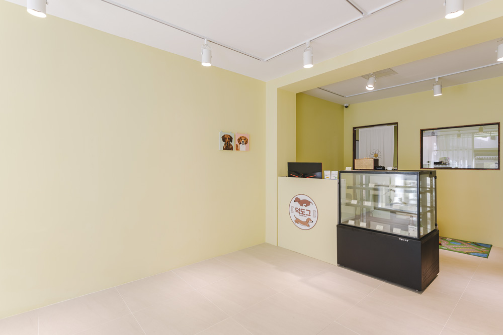 韩国十平米宠物用品店，打造可爱柠檬色彩氛围-6