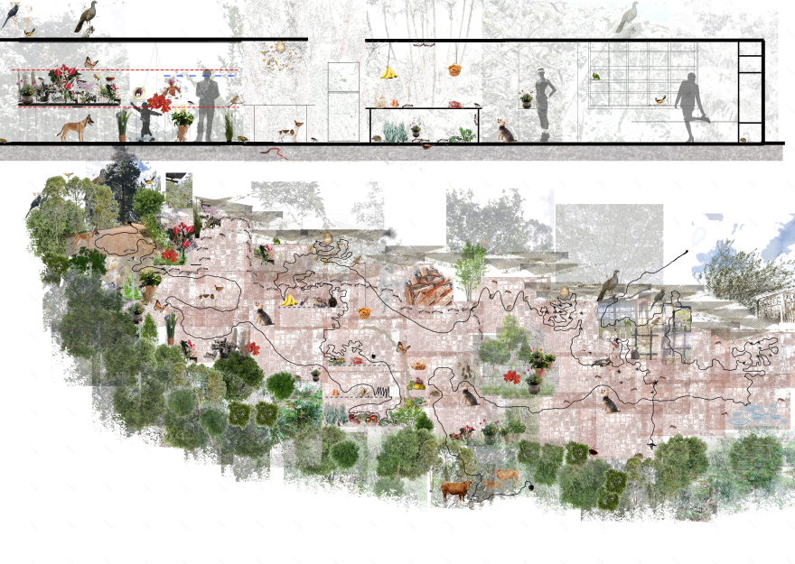 动植物 多莫斯实验室丨Jean Rodríguez + Camilo Sánchez-8