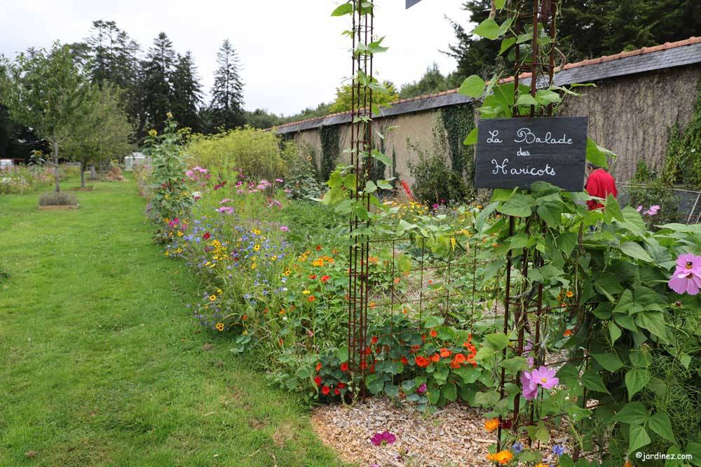 爱都（Ar Duen）菜园丨法国-7