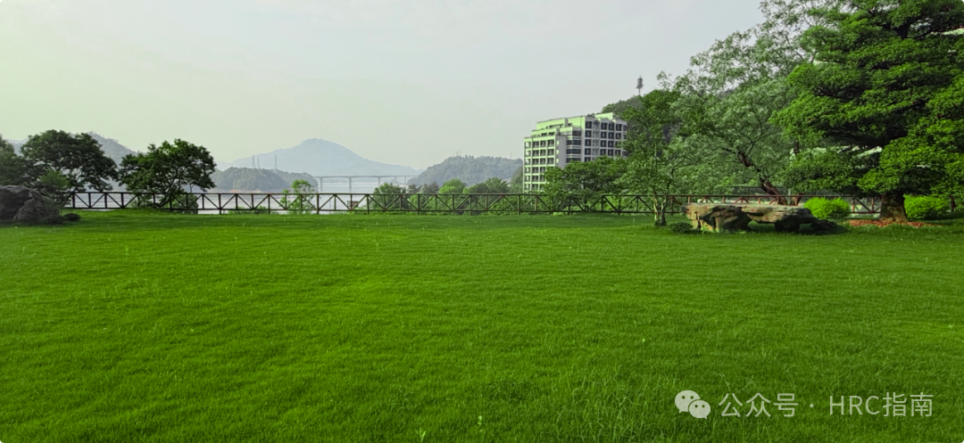 湖畔美学新章|千岛湖燕山君澜度假酒店试营业-45