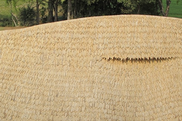 丨泰国清迈丨24H-37