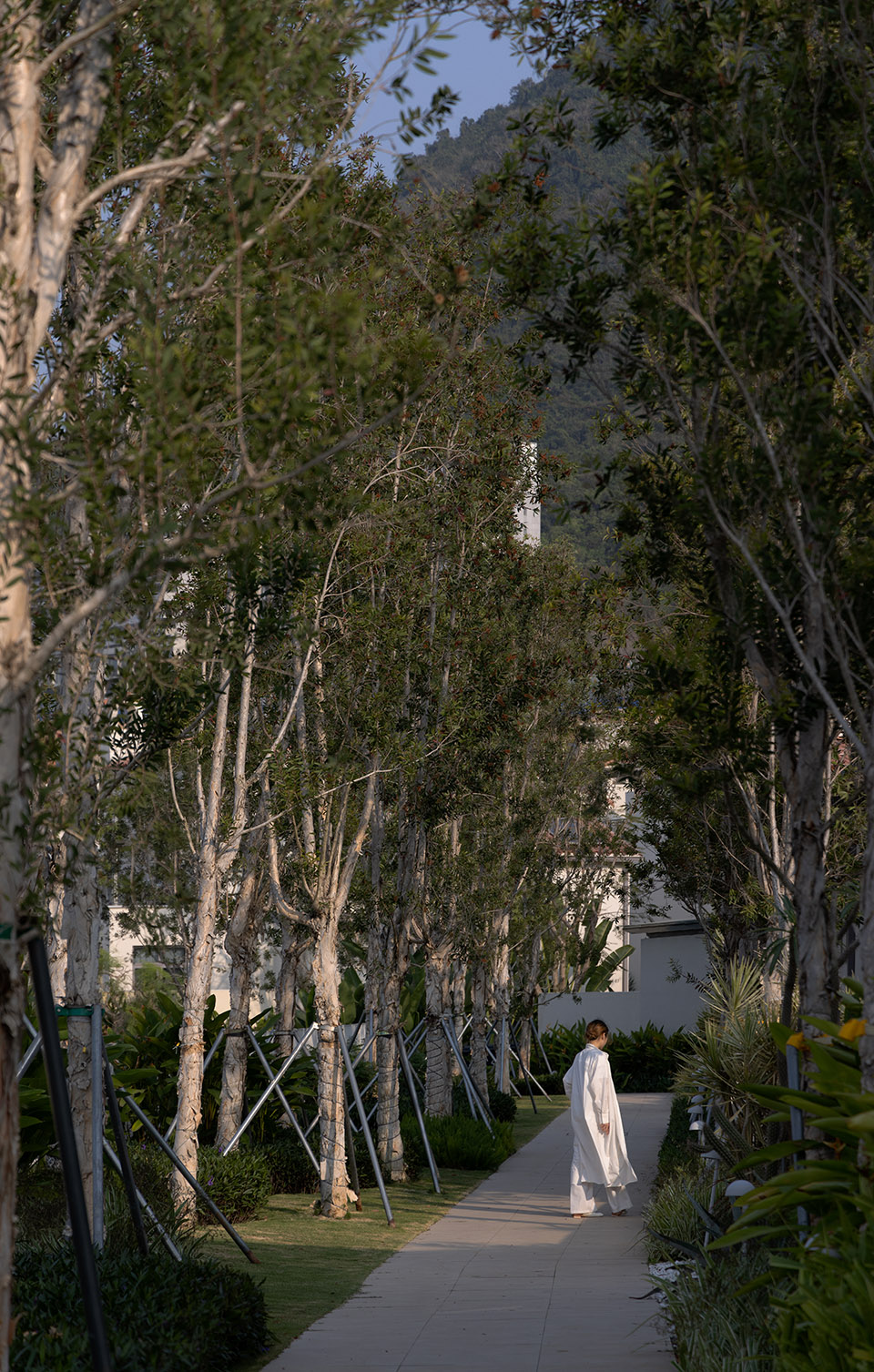 阿那亚·三亚的山丨中国三亚丨WTD纬图设计-73