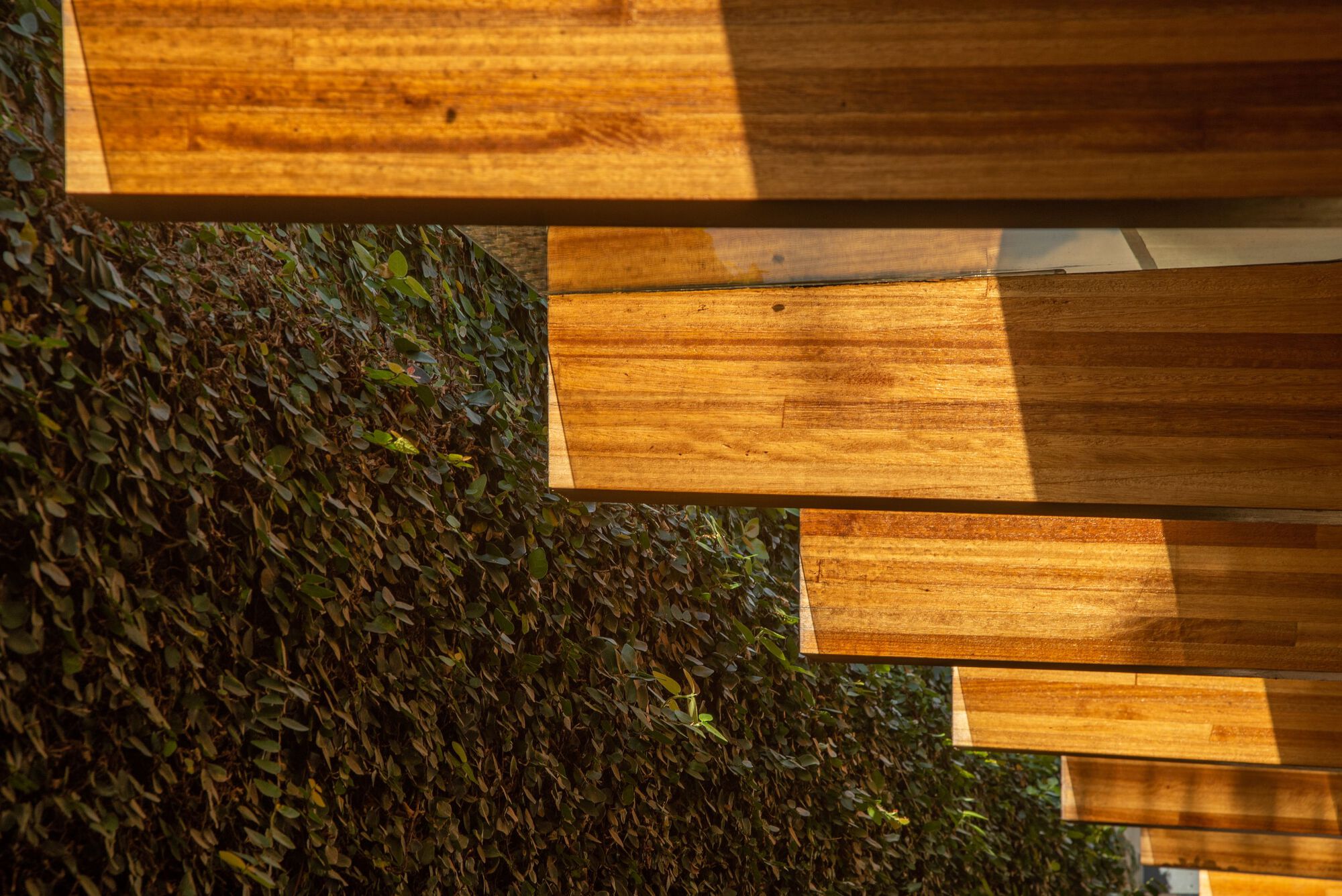 萨比亚住宅丨巴西丨Estúdio Mangava-16