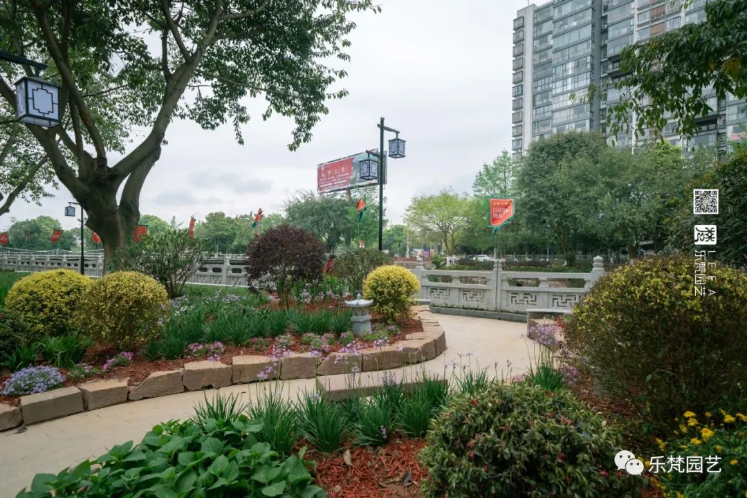 丹棱春色 · 古韵新颜,漫山幸福花开丨中国眉山丨乐梵-31