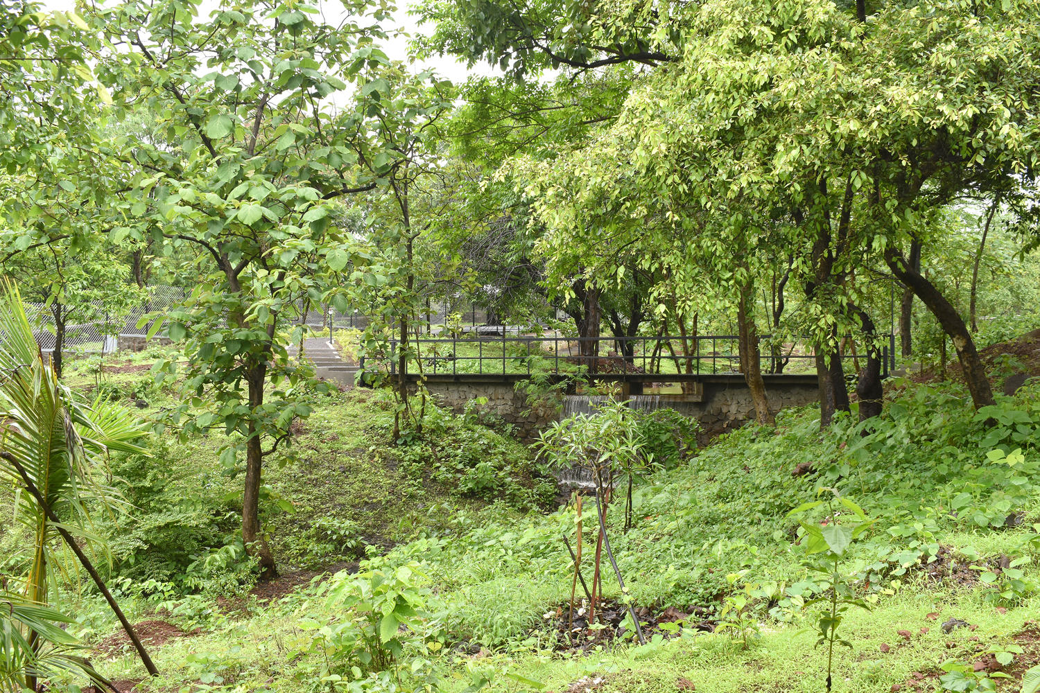 印度 Karjat 市 The Bridge Dam丨architecture INNATE-26