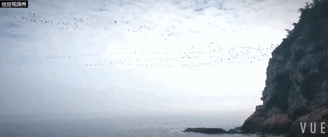 70后设计师大叔，爆改海岛渔村，惊艳朋友圈-162