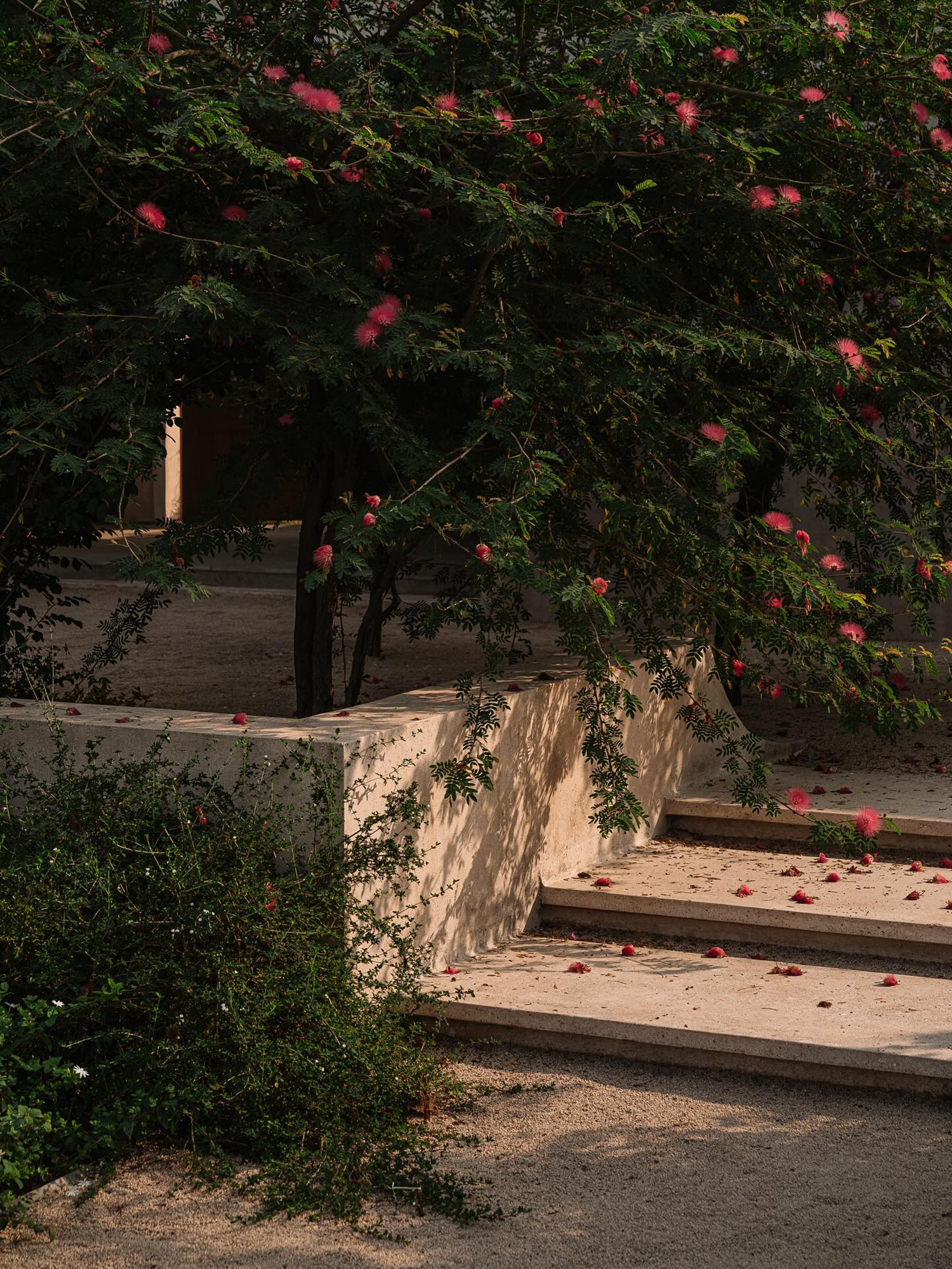 新作度假屋丨印度丨Architecture BRIO-47