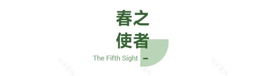 东莞万科•公园里丨中国东莞丨成都赛肯思创享生活景观设计股份有限公司-54