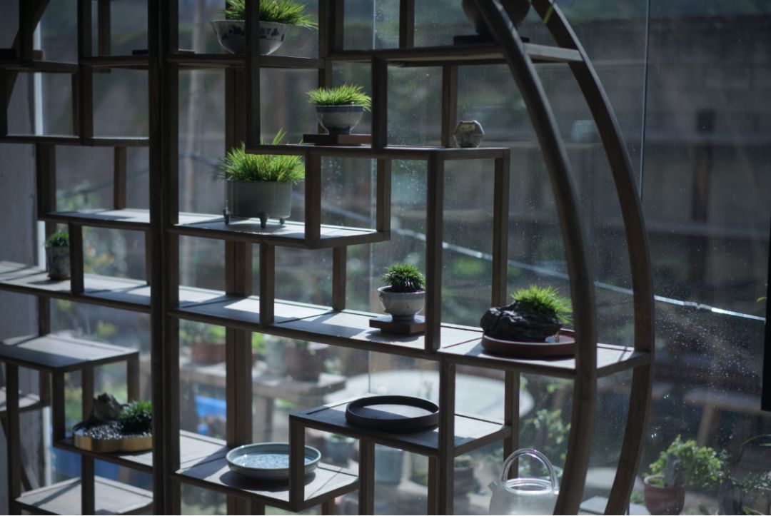 夏日茶室 | 绿色与自然的完美融合-8